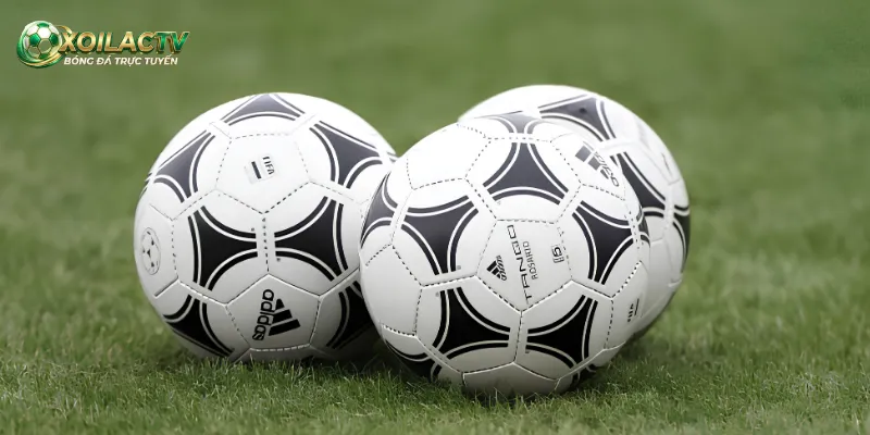 Cách nắm bắt xu hướng nhận định Champions League chuẩn